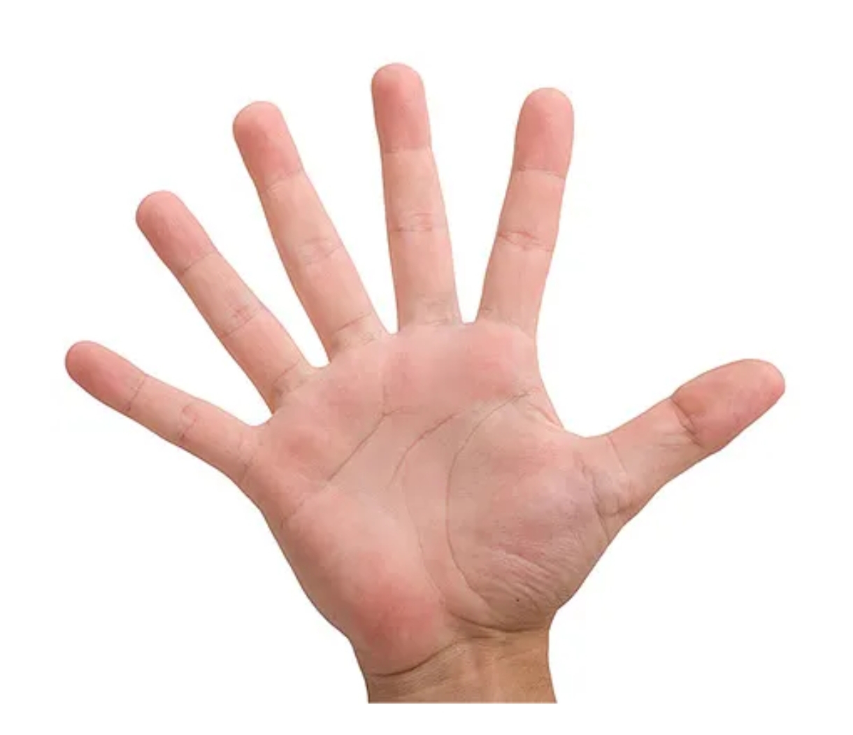1000017626.jpg