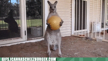 IMG_5906.gif