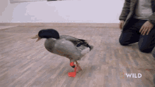 IMG_5932.gif