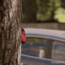 IMG_5942.gif