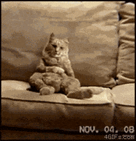 IMG_5989.gif