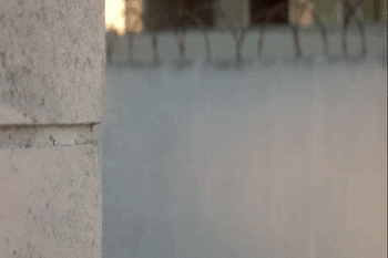 ydb gif.gif
