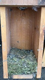IMG_0119.jpeg