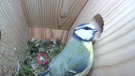 IMG_0666.jpeg