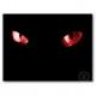old red eyes