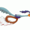 roadrunner
