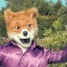 foxybingo