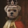TheDor