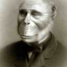 humanzee