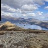 Cabage Head