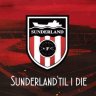 Roker Roar 86