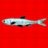 Anchovy Front