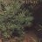 BushTucker